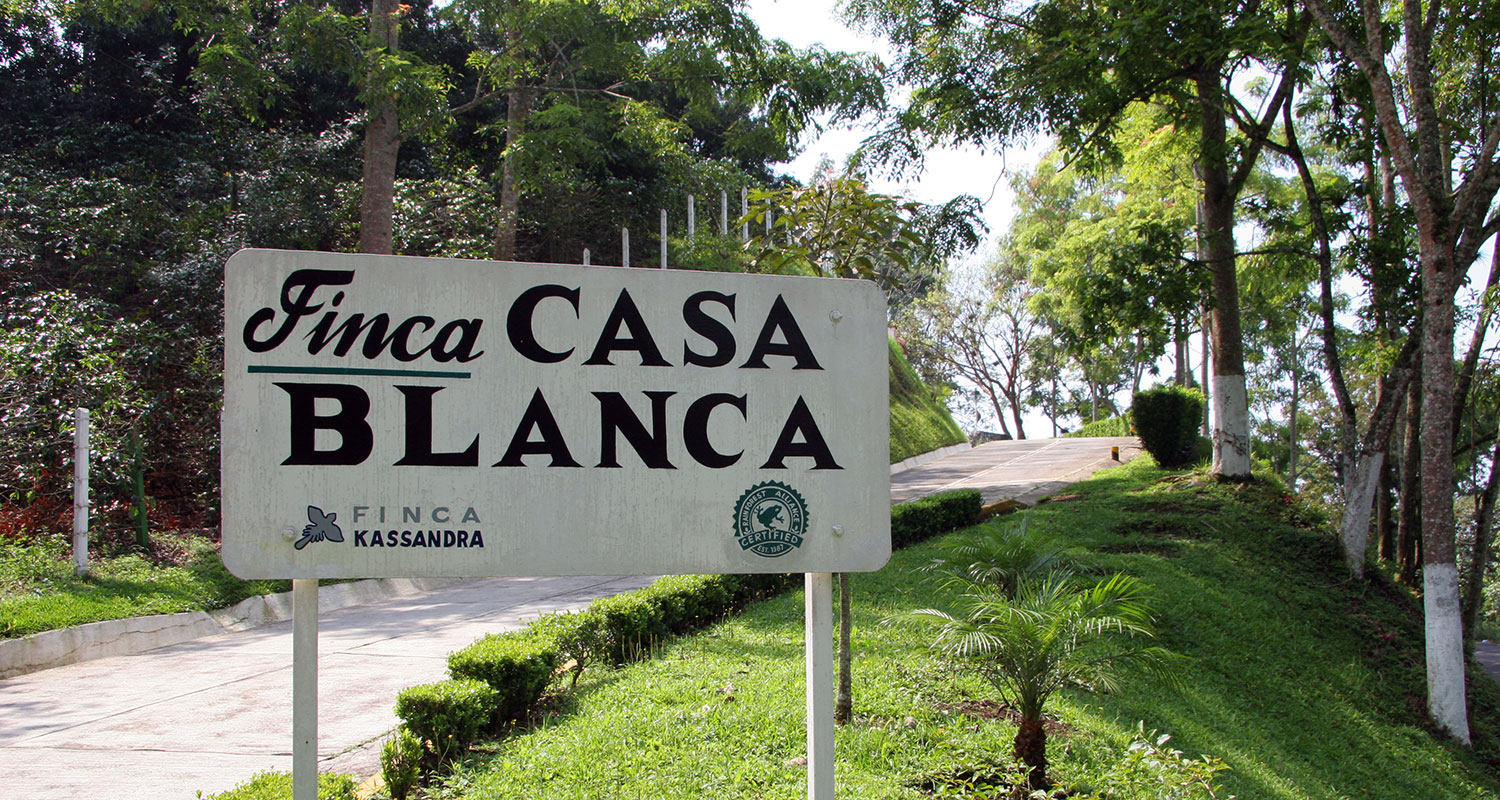Finca Kassandra in Veracruz